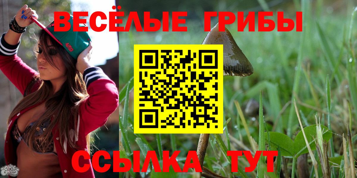 Галлюциногенные грибы Psilocybe Бутурлиновка